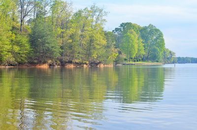 Scenic view of river by trees against sky