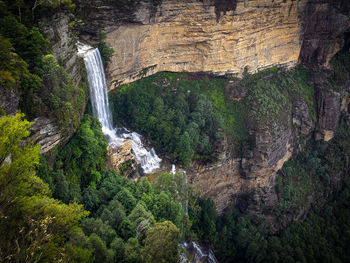 Scenic view of waterfall in forest