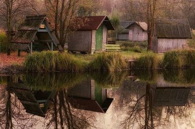 Houses with trees in background