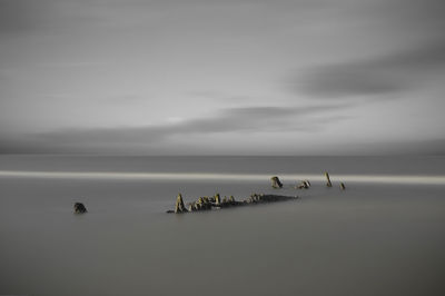 People on beach against sky