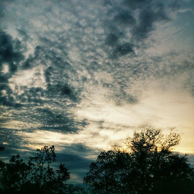 tree, low angle view, sky, silhouette, cloud - sky, cloudy, tranquility, beauty in nature, scenics, nature, tranquil scene, branch, cloud, high section, weather, bare tree, growth, treetop, overcast, sunset