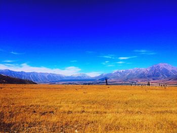 Scenic view of field against blue sky