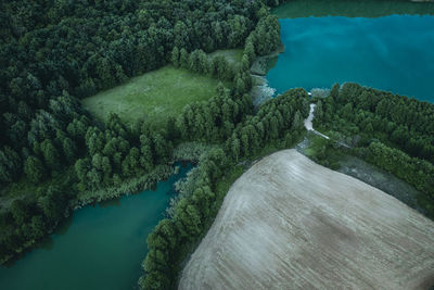 High angle view of lake along trees