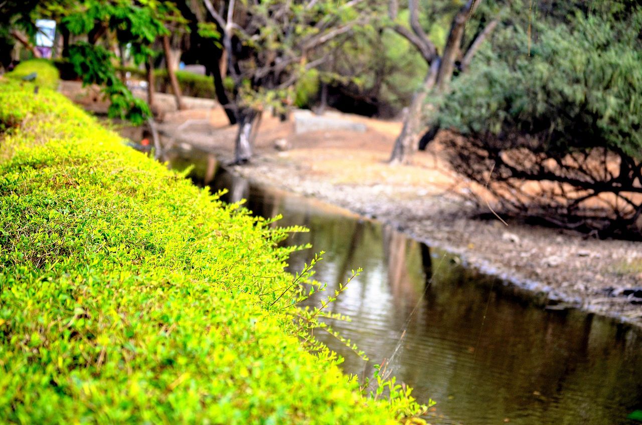 River by side