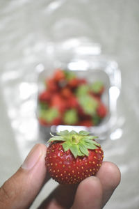 strawberry