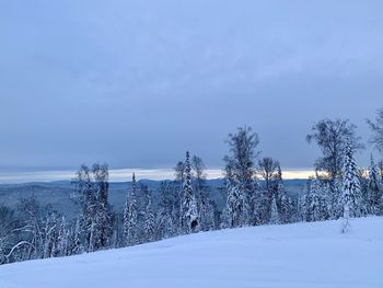 Snow covered field against sky