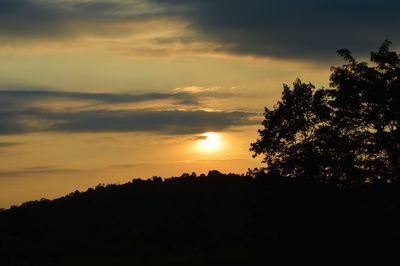 Silhouette trees against sky during sunset