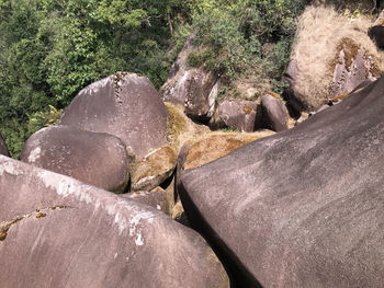 Close-up of water flowing through rocks