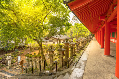 Footpath leading towards temple building