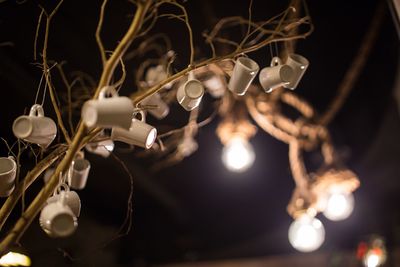 Low angle view of coffee cups hanging on plant against sky at night