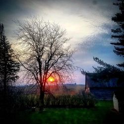 Bare trees against sky during sunset