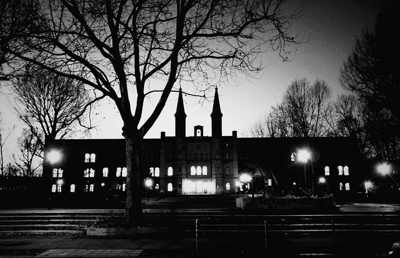 architecture, tree, built structure, bare tree, building exterior, night, travel destinations, illuminated, outdoors, no people, sky, city