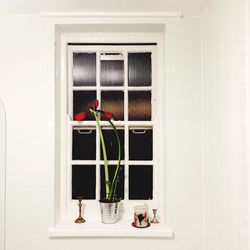 Potted plant and candle on window