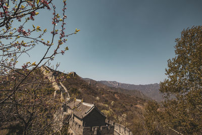 Scenic view of tree and building against sky