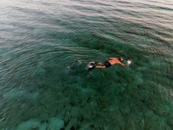 High angle view of man swimming in sea