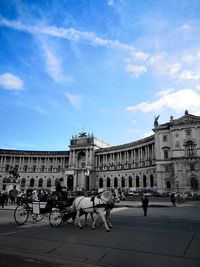 Horse cart in city