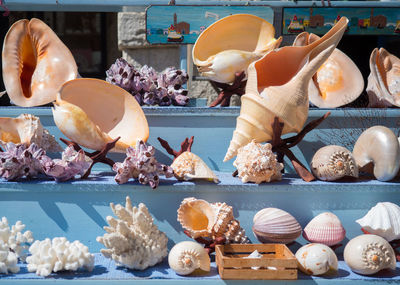 Close-up of shells for sale