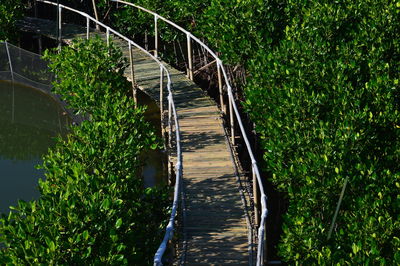 Footbridge over trees