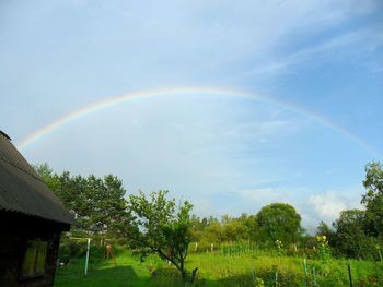 Scenic view of rainbow over trees and building against sky