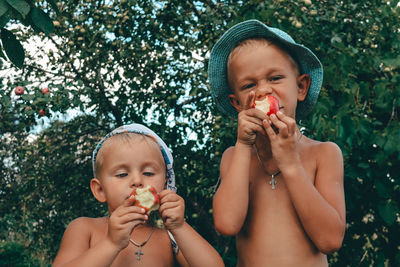 Delicious apples for everybody