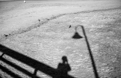 Shadow of people on street