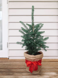 Small christmas tree against wall