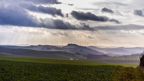 Scenic view of field against sky