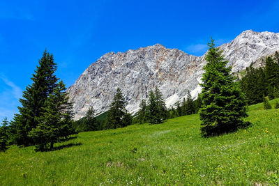 Scenic view of rocky mountains against blue sky