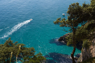 High angle view of sea against trees