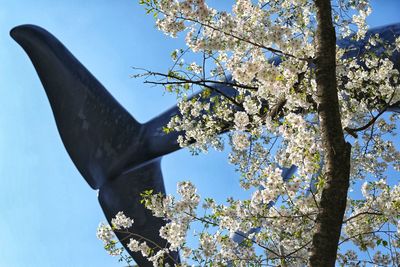 Low angle view of flowering tree against blue sky