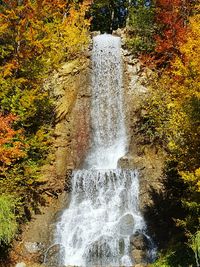 Scenic view of waterfall in forest during autumn