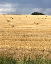 Hay bales on field against sky