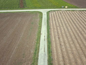 High angle view of agricultural field