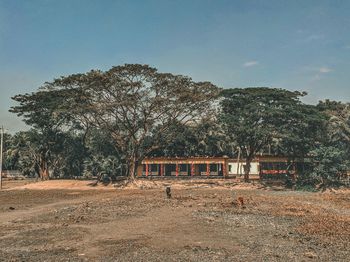 Trees on field by building against sky