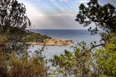 Corsica south of france sartene and porto-vecchio 