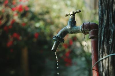 Close-up of water falling from faucet