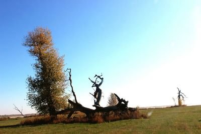 View of landscape against clear blue sky