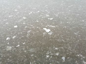 High angle view of ice floating on water