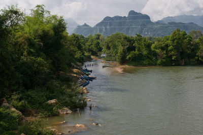 Scenic view of river in forest against sky