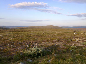 Scenic view of field against sky