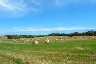 Hay bales on field against sky