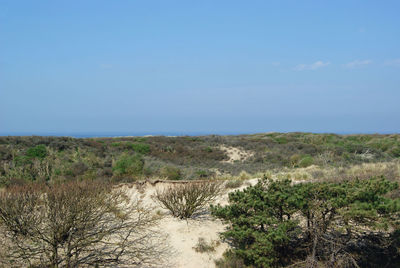 Scenic view of landscape against clear sky