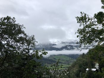 Scenic view of trees and mountains against sky