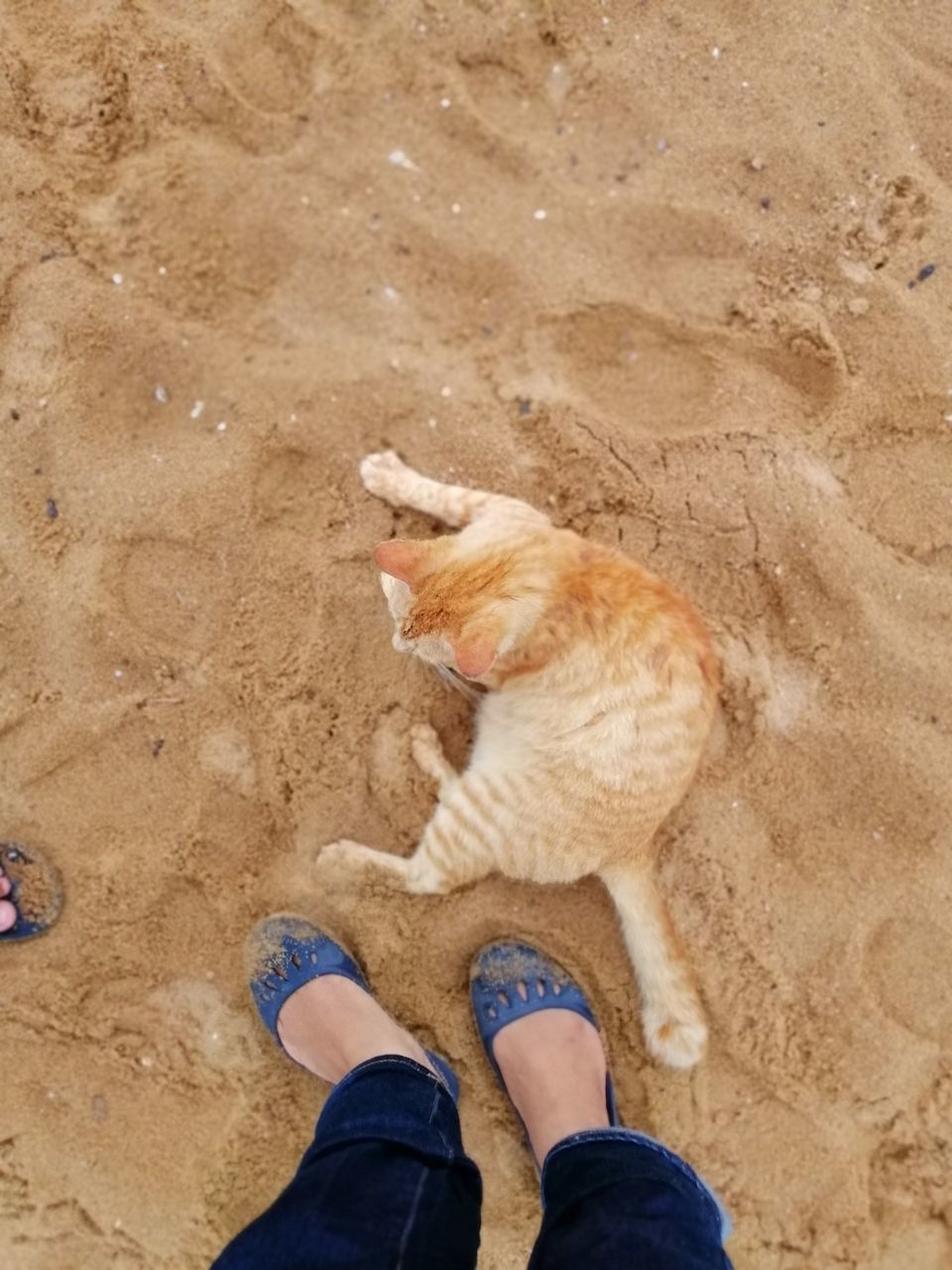 LOW SECTION OF MAN STANDING ON SAND