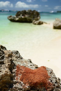 Close-up of rocks on beach against sky