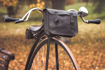 A penny-farthing bicycle with a leather saddle and tool bag in a park with fallen autumn leaves