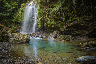 Scenic view of waterfall in forest