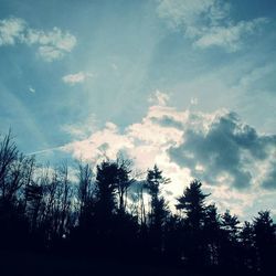 Silhouette of trees against cloudy sky