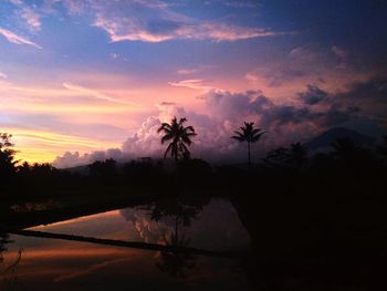 Silhouette trees by lake against sky during sunset