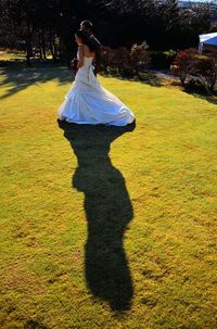 shadow